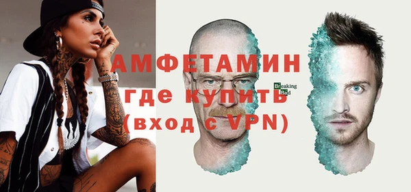 шишки Дмитриев