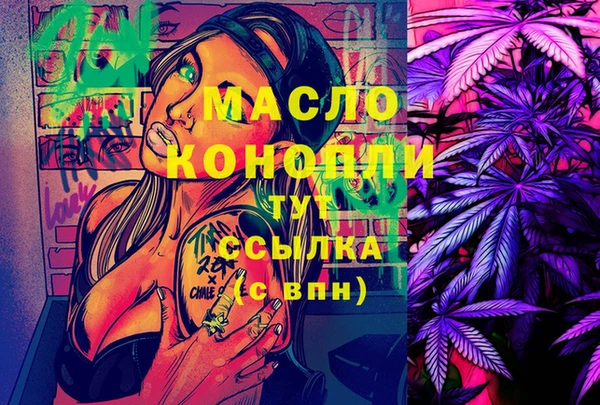 шишки Дмитриев