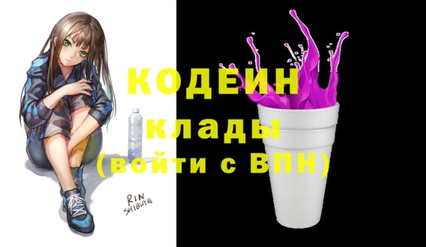 шишки Дмитриев