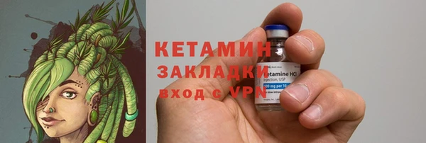 шишки Дмитриев