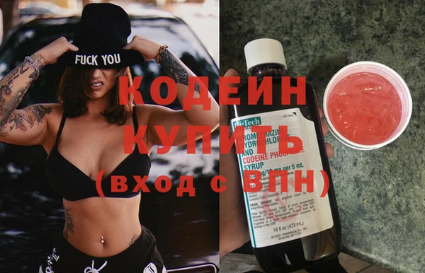 шишки Дмитриев