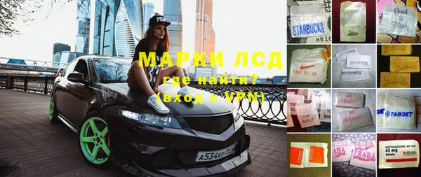 шишки Дмитриев