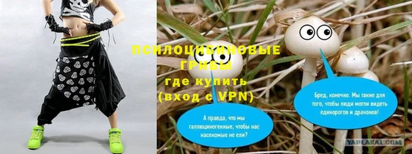 спиды Дмитровск