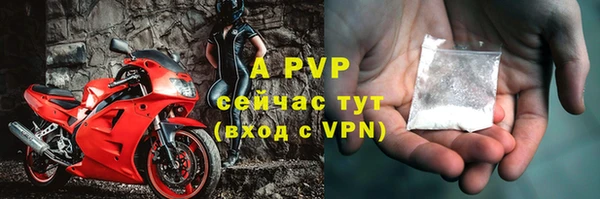 шишки Дмитриев