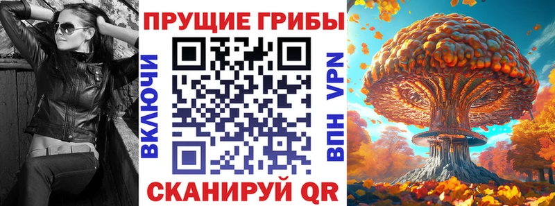 Псилоцибиновые грибы GOLDEN TEACHER купить сайты Емва